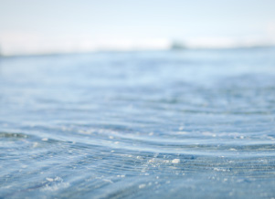 虎杖浜の海と漁船